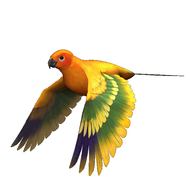 Imagen gif de un ave papillera en movimiento